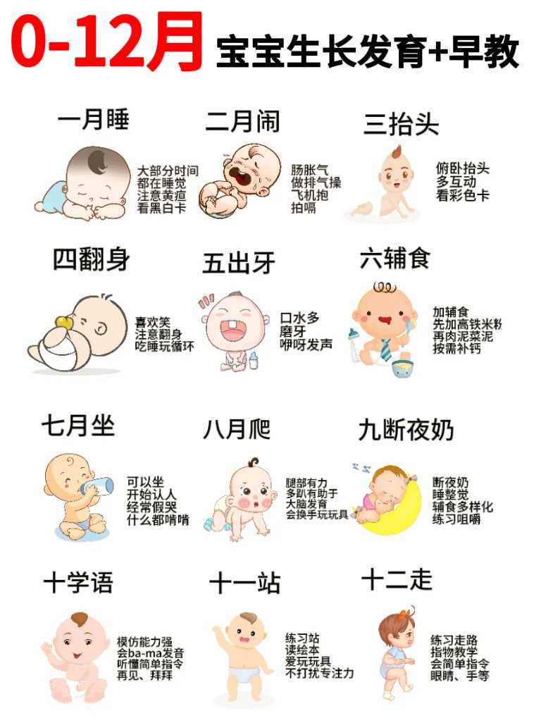 辅助生殖试管婴儿